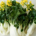 4种最受欢迎的抗炎食物小白菜