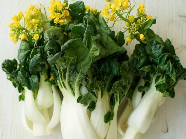 4种最受欢迎的抗炎食物小白菜