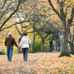 秋日公园树冠下相爱的老夫妇牵手散步的背影。