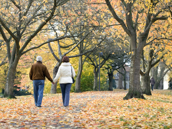 在秋天的树冠下，爱的老夫妇牵着手在公园散步的后视图。