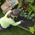 头顶上，一个穿着红色惠灵顿长靴和石灰绿色上衣的女士跪在绿色的草地上，在菜园里的一个凸起的床上除草。她身边有一个装着园艺工具和蔬菜种子的花园推车。