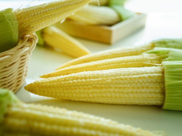 小玉米之谜|园艺| Andrew Weil，医学博士