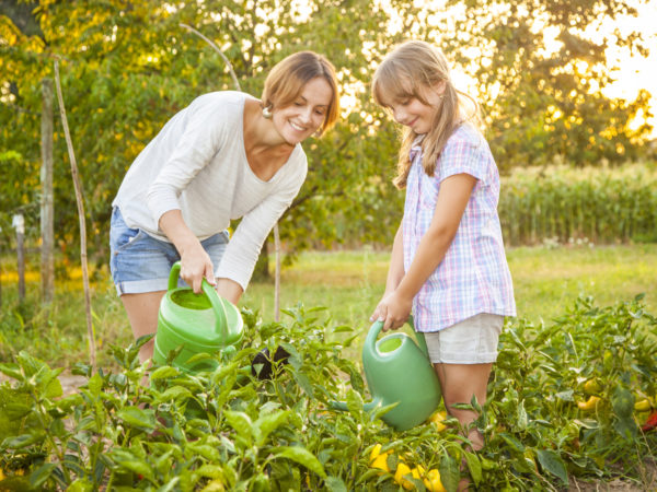母亲和女儿在菜园里浇菜。背景中可见树木和玉米地。阳光从后面照射过来。