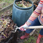 “女园丁先用园艺叉从堆肥箱顶部清除未堆肥的食物垃圾，然后再将堆肥铺在蔬菜园里。”