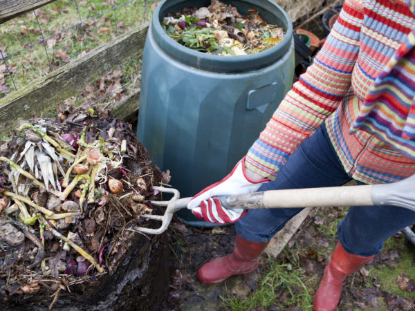 “女园丁先用园艺叉从堆肥箱顶部清除未堆肥的食物垃圾，然后再将堆肥铺在蔬菜园里。”