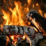 真正的火在壁炉的特写镜头。