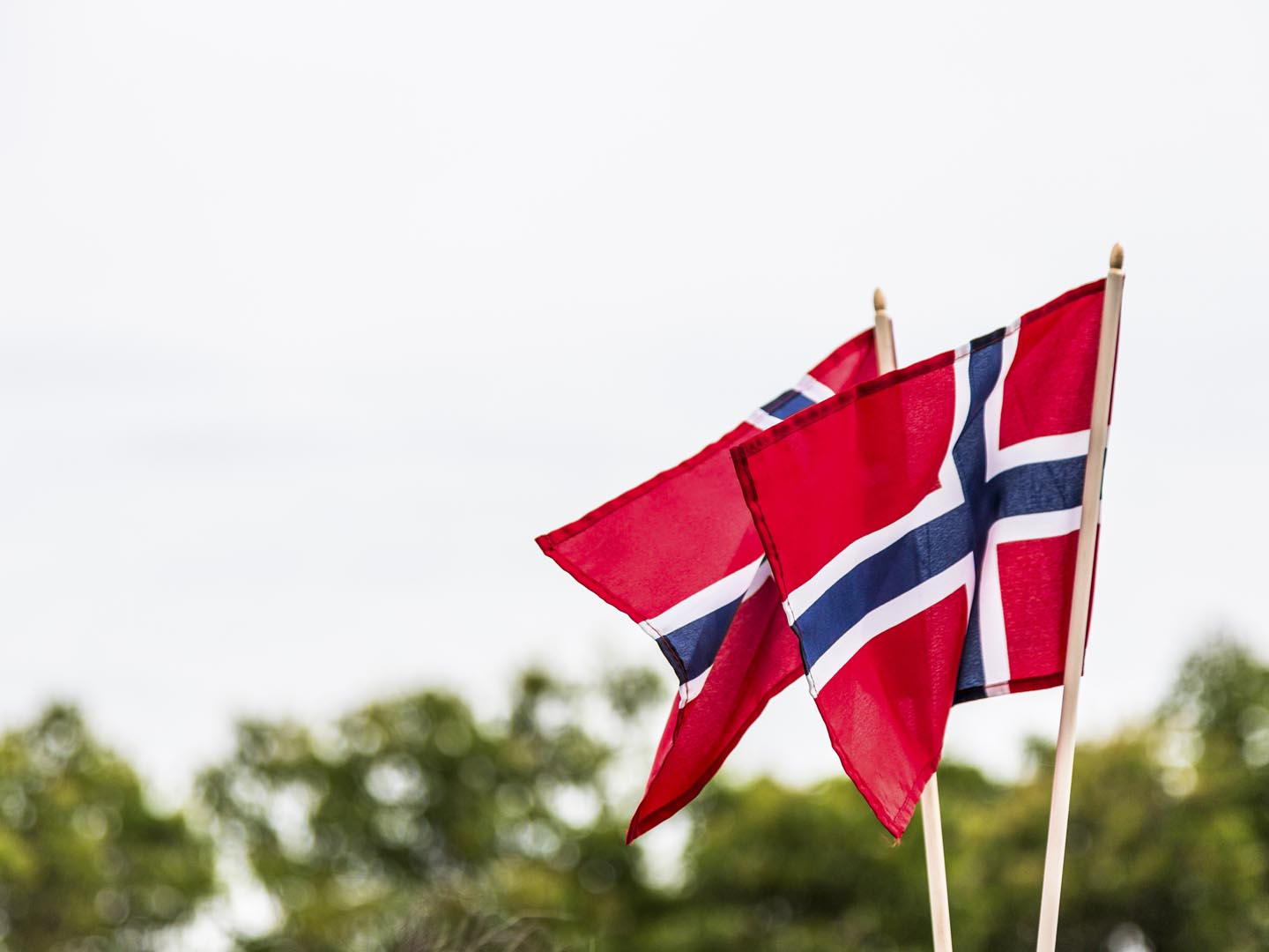 风中飘扬着两面挪威国旗。挪威的国旗是红色的，靛蓝色的斯堪的纳维亚十字用白色镶边，一直延伸到国旗的边缘;十字架的垂直部分被移到提升的一边，以丹麦国旗Dannebrog的风格。