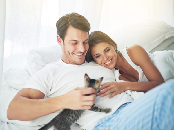 一对年轻夫妇和小猫在卧室里放松的剪影