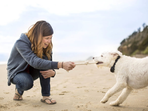 宠物主人和她的狗在海滩上玩拔河比赛