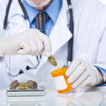 医用大麻值得为之奋斗吗?健康疗法安德鲁·韦尔医学博士