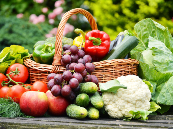 新鲜的有机蔬菜在柳条篮子在花园