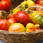 储存西红柿的最佳地点|每周简报|安德鲁·韦尔医学博士