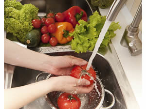 Diets & Nutrition - Food Safety