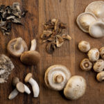 蘑菇记忆|周报|安德鲁·韦尔医学博士