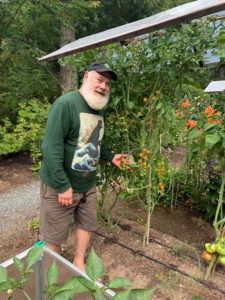 英属哥伦比亚花园的番茄|安德鲁·韦尔医学博士