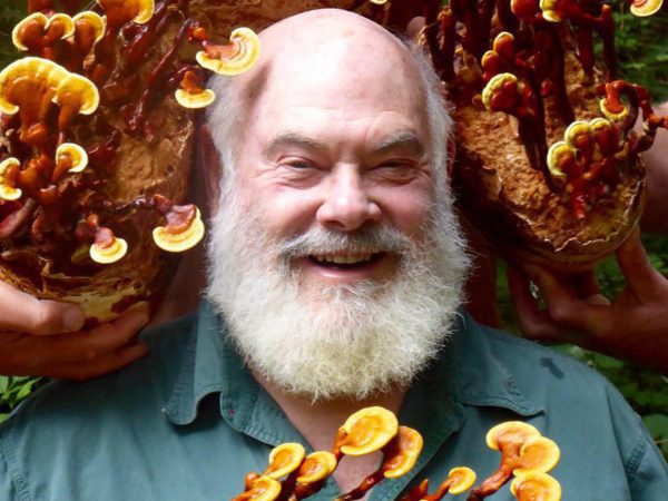 真菌:威尔博士最喜欢的健康生活|