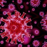 COVID-19:你应该知道的冠状病毒